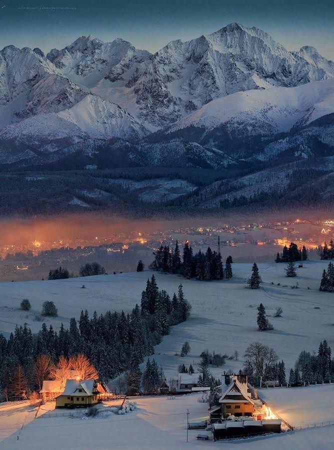 Willa 14 Zakopane Ngoại thất bức ảnh