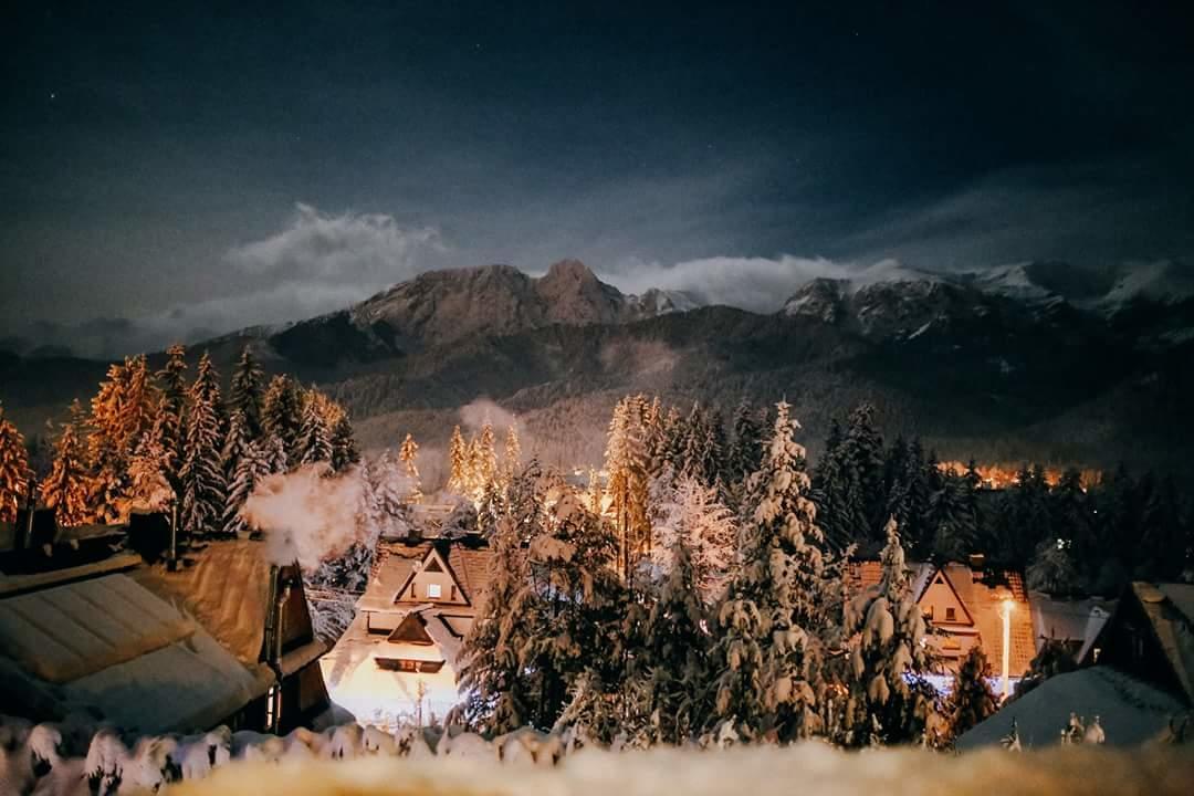 Willa 14 Zakopane Ngoại thất bức ảnh